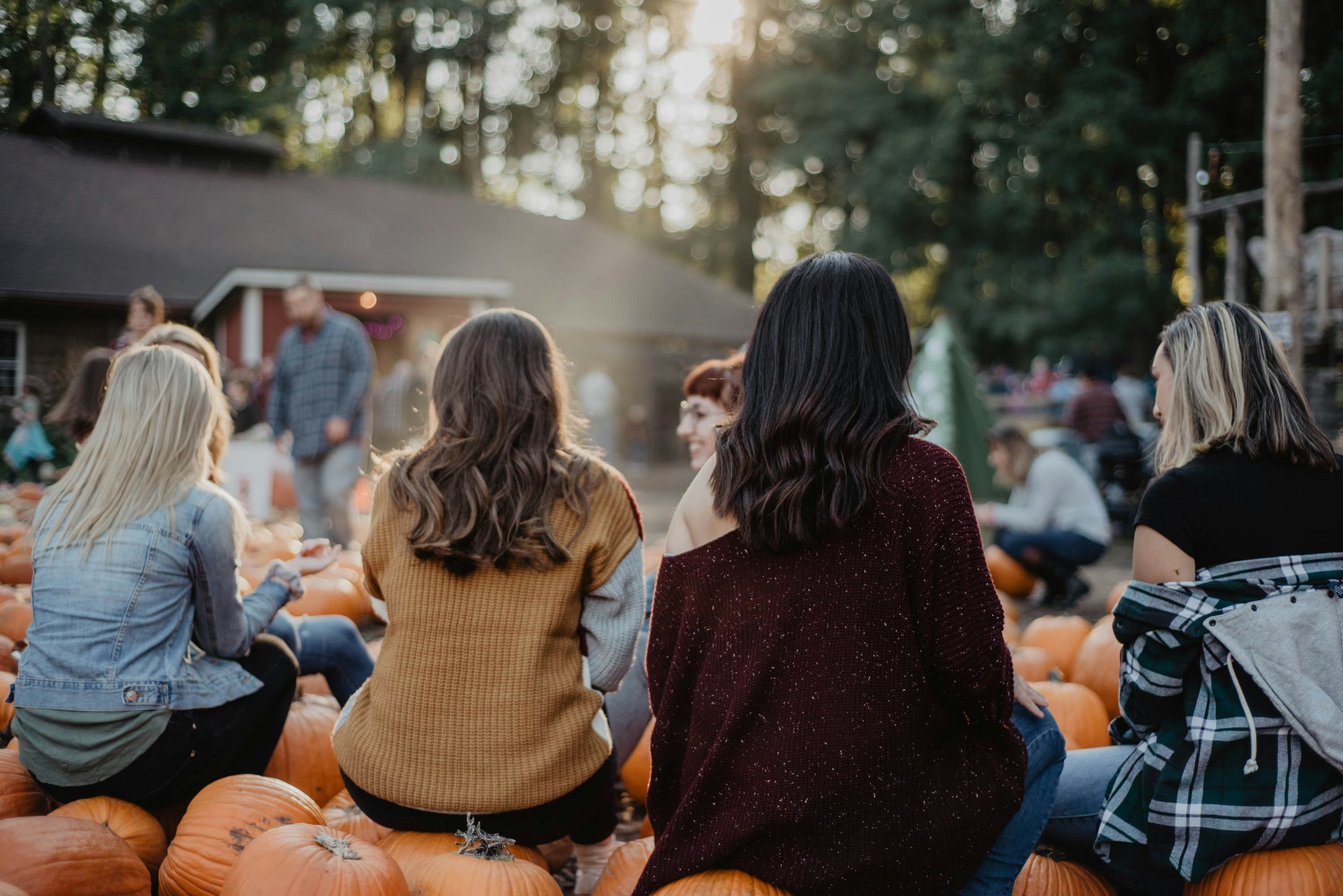 people sitting on bench during daytime